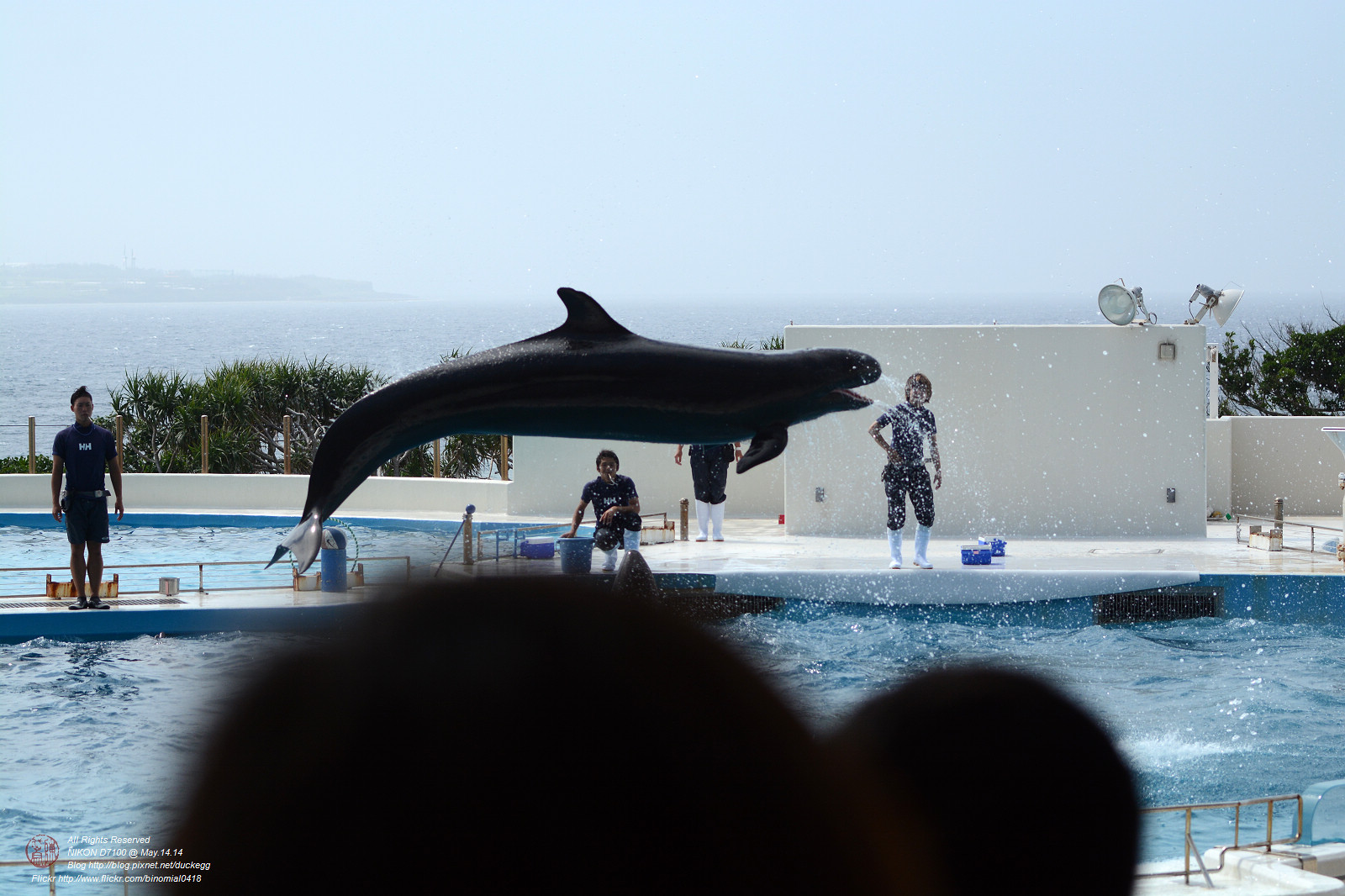 DSC_3092.jpg